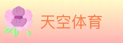 天空体育 logo